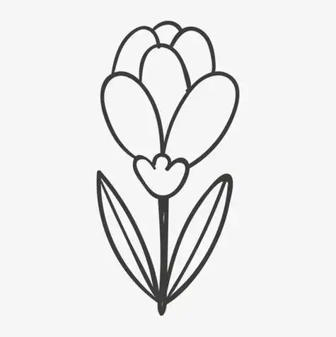 简笔画勾线笔画花