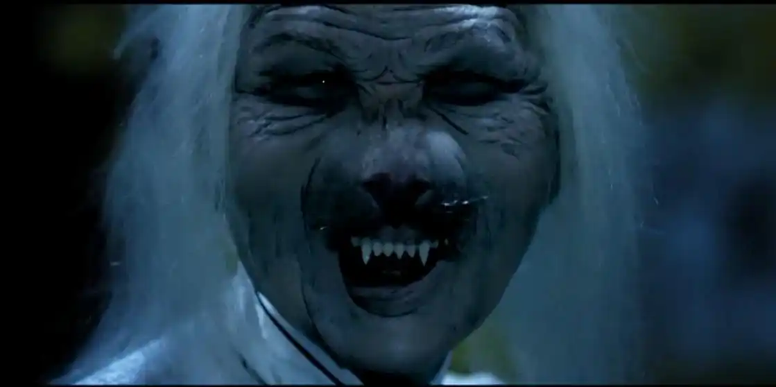 东北骇人听闻的灵异事件之《猫脸老太太》