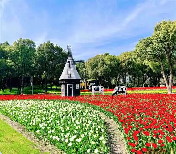 来一场浪漫的春日之约上海静安大宁公园50万株郁金香绚烂绽放