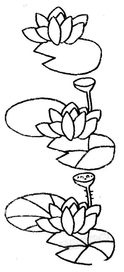 荷花简笔画图片步骤教程-儿童简笔画大全
