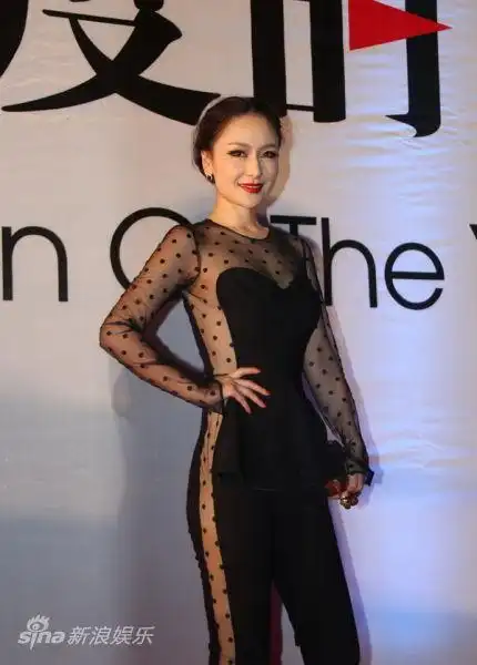 孙宁性感亮相时尚盛典 透视装大展完美曲线(图)