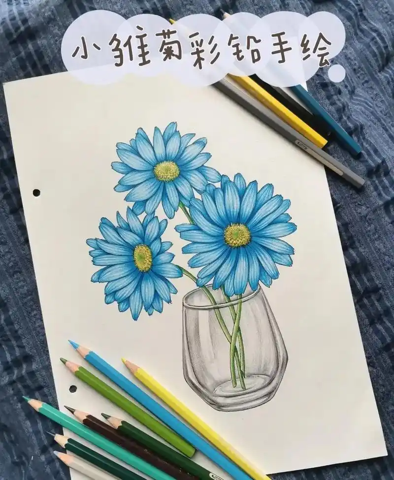 小雏菊～彩铅画,素材来自某书@阿旦绘画.#彩铅手绘 #彩铅画 - 抖音