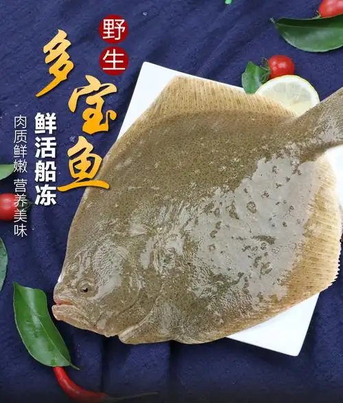 雨林食味新鲜多宝鱼海鲜鲜活比目鱼冷冻鲽鱼偏口鱼雅片鱼高眼鱼海鱼