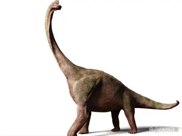 腕龙:最高的恐龙