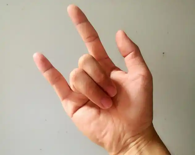 beyond摇滚rock的手势是什么意思