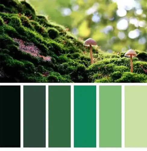 泡泡噜多彩卫衣 总有一个颜色是你喜欢的