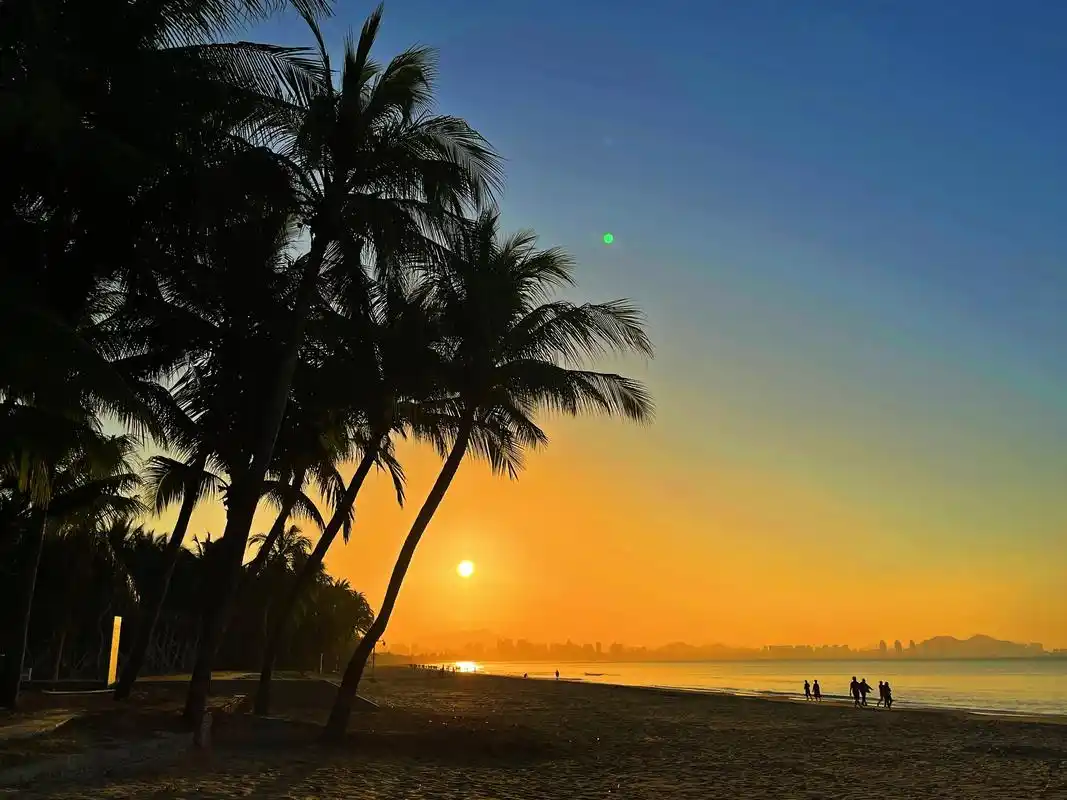 三亚风光椰梦长廊景区椰林剪影