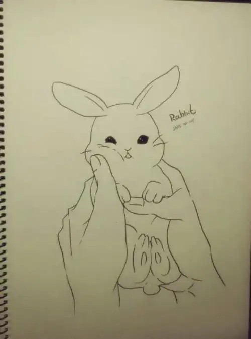 兔子的素描简笔画