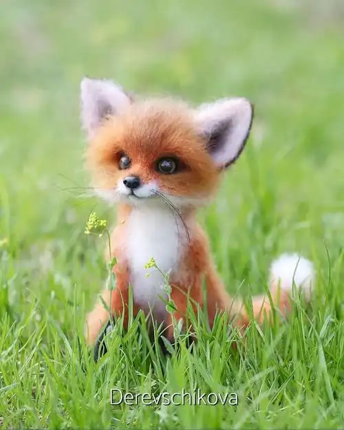 越看越欢乐,动物萌图实在萌!