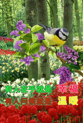 6月最新版微信早晨问候好动态表情鲜花图片 微信最美早上好动态祝福