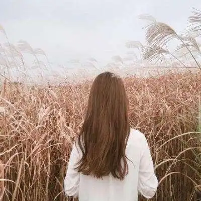 头像图片大全微信头像背影女生女生用的微信头像背影女头像唯美有气质