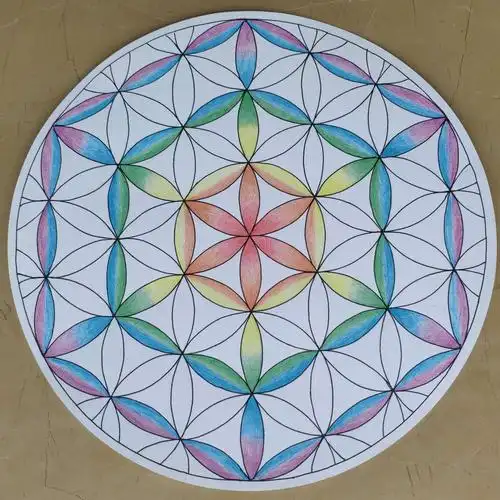 彩铅手绘:生命之花