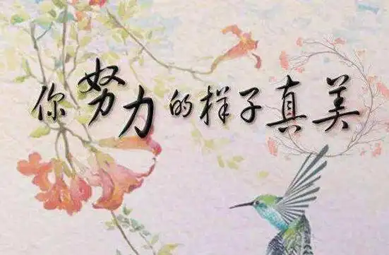 你努力的样子,真美作文600字