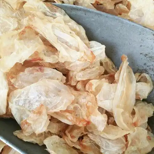 批发中药材鱼膘 大鱼鳔批发各种中药材鱼鳔承接大货量大价优