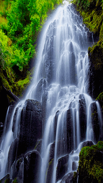 风景景色景区gif动图_动态图_表情包下载_soogif