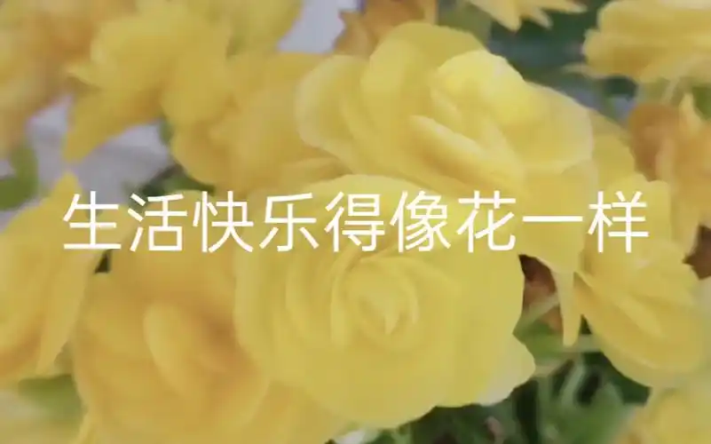 就算生活一地鸡毛也要开心快乐每一天