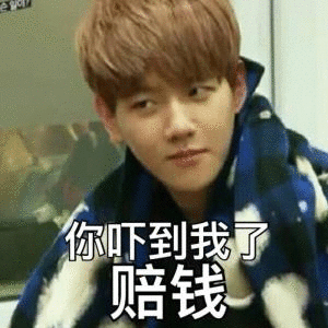 exo 边伯贤 表情包