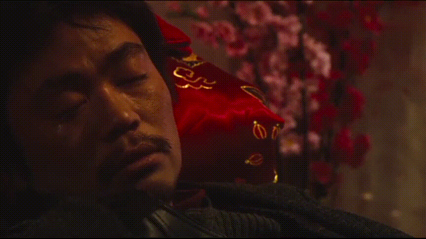 合理解读《hello,树先生》