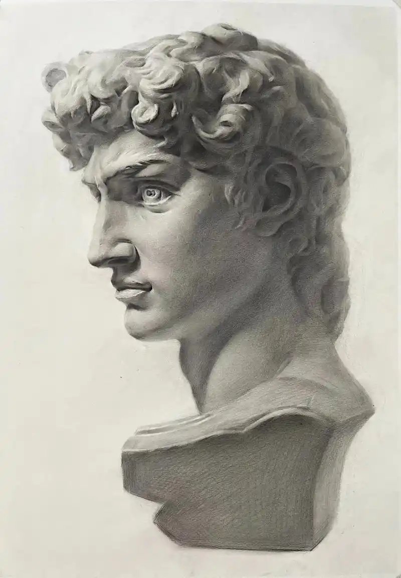 4开大卫石膏像简单步骤图#美术生 #素描 #美术培训 #石膏 - 抖音