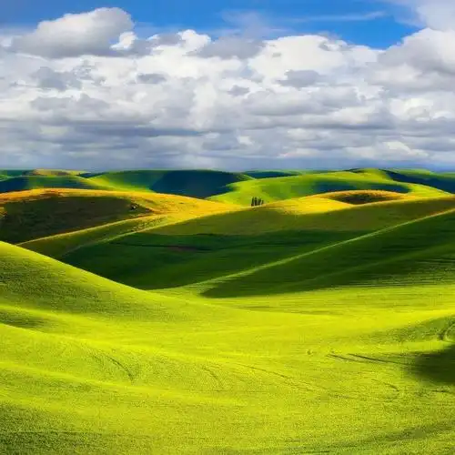 一览无遗草原风景超清手机壁纸图片