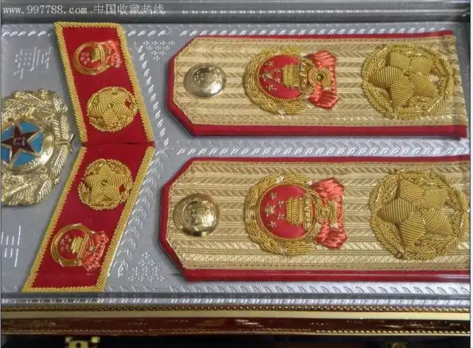 大元帅军衔-zc2069050-军功章/勋章-拍卖-7788收藏__中国收藏热线