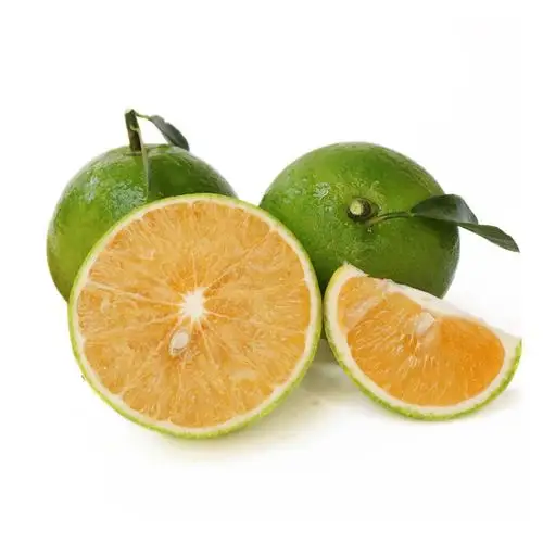 海南琼中绿橙子新鲜水果 5kg