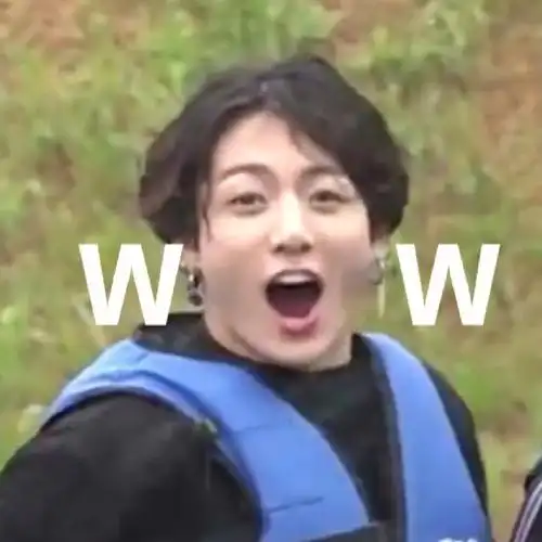 防弹少年团  #表情包  #田柾国  #郑号锡 #朴智旻   #bts  #金南