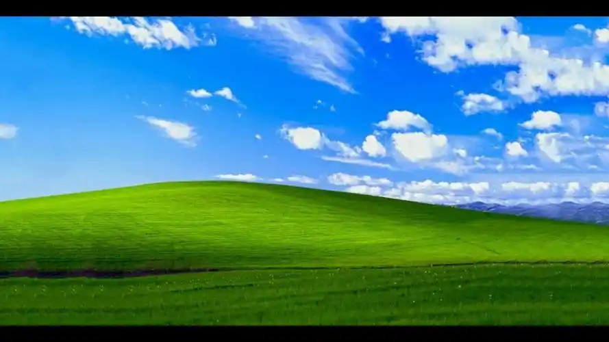 windows xp