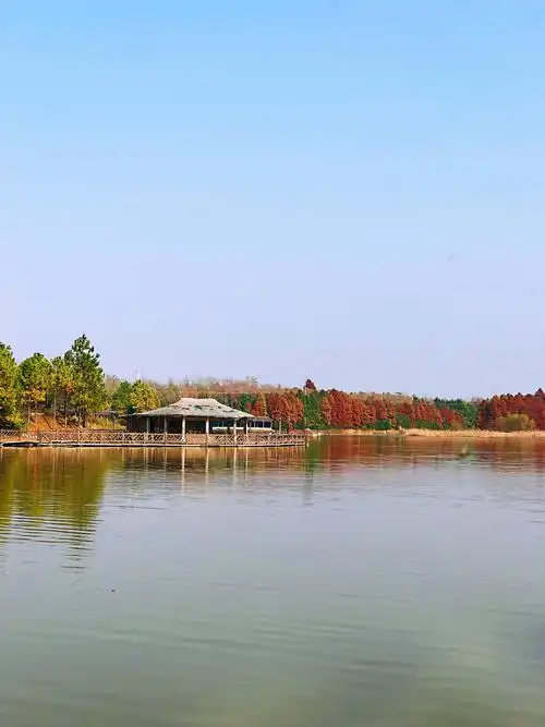 上海海湾国家森林公园