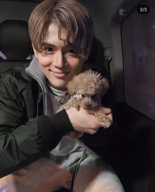 创造营_创造营2021赞多力丸_娱乐_明星娱乐资讯