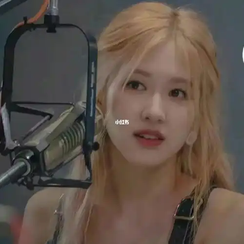 rose朴彩英头像96