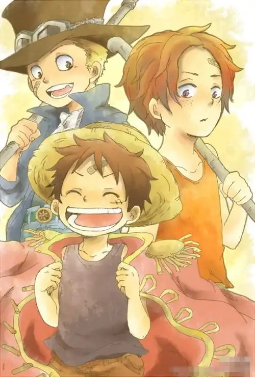 求一张海贼王路飞艾斯萨博三兄弟卖萌高清图