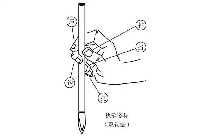 毛笔字的正确执笔力法与书写姿势(书法基本常规) - 小南美术网