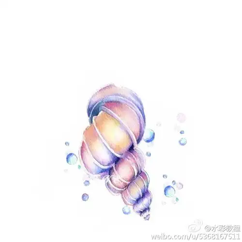 水彩海螺