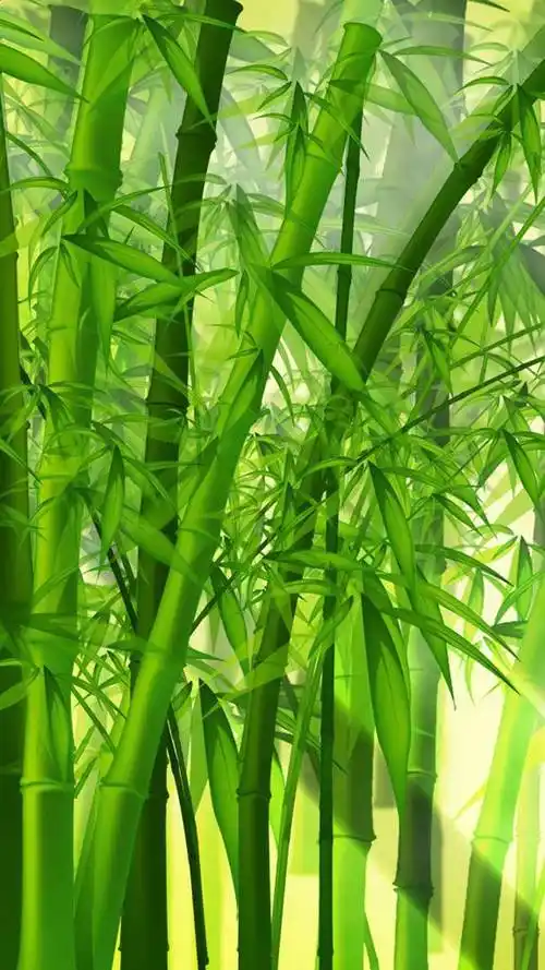 护眼壁纸,小清新,小草,竹子,绿色植物,护眼,养眼,小清新,手机壁纸绿色