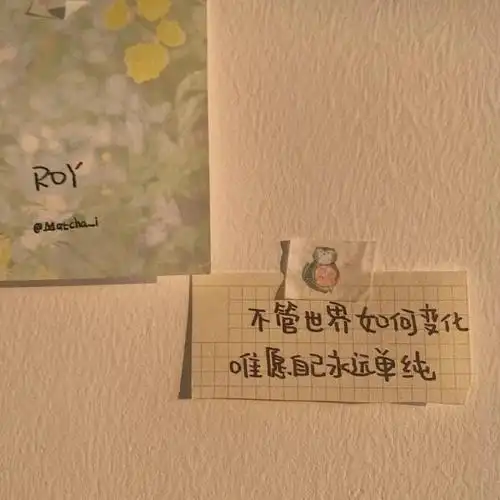 ins冷淡风背景图