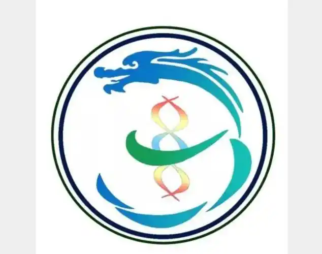 生科1903班龙图腾创意班徽设计图片