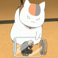 qq会员动态头像