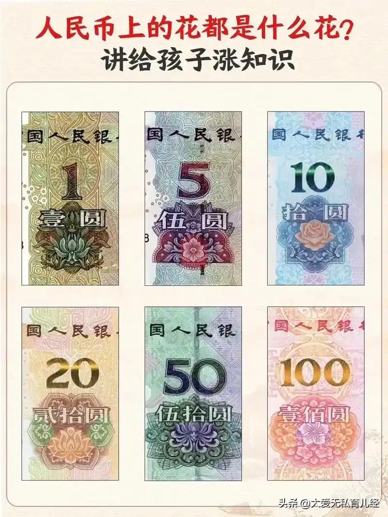 你知道1至100元的纸质人民币上的花各是什么花吗?959317 - 抖音