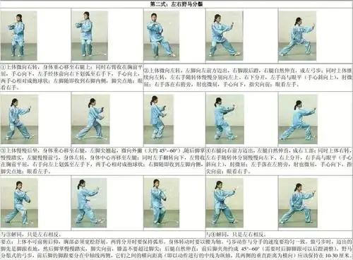 二十四式太极拳 图解