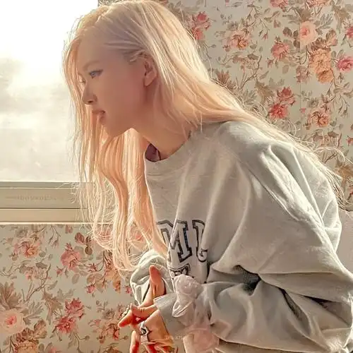 rose朴彩英壁纸洋气的罗捷女士