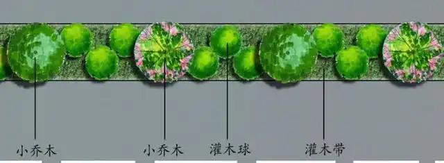 乔木;下层可选用海桐,石楠,红花檵木等球灌木或修剪成带状的绿篱色块