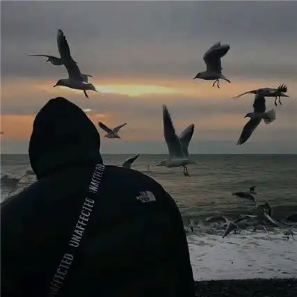 梨花开了是什么意思网络用语-多特图文教程