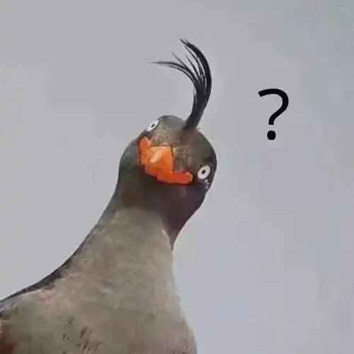 沙雕头像纯粹一点幸运一点俗气一点