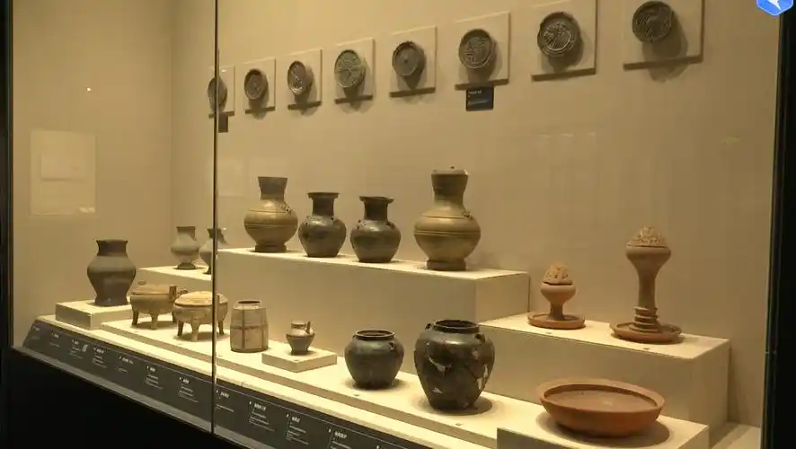 感受优秀历史文化滕州博物馆成热门打卡地