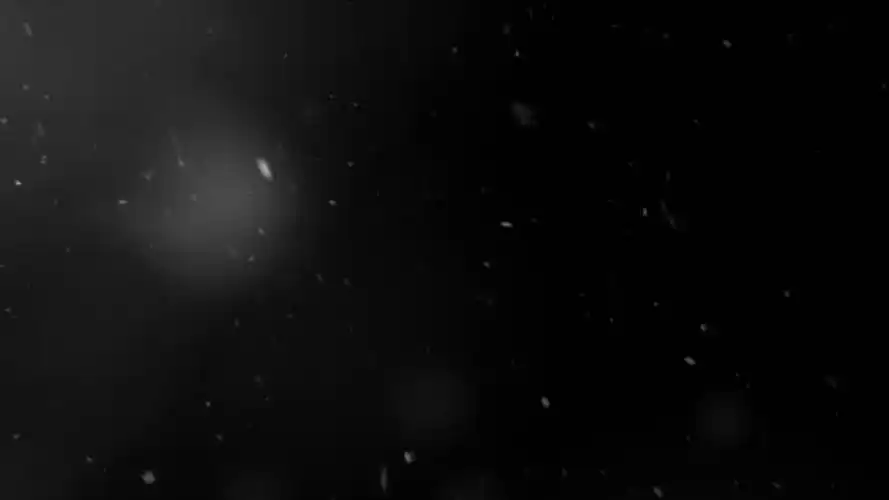 "战双,给我你的——" 曲