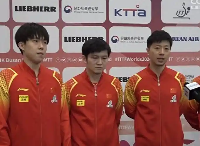 马龙和王楚钦认识到了缺点,范振东也冷静下来_比赛_其他_一定的