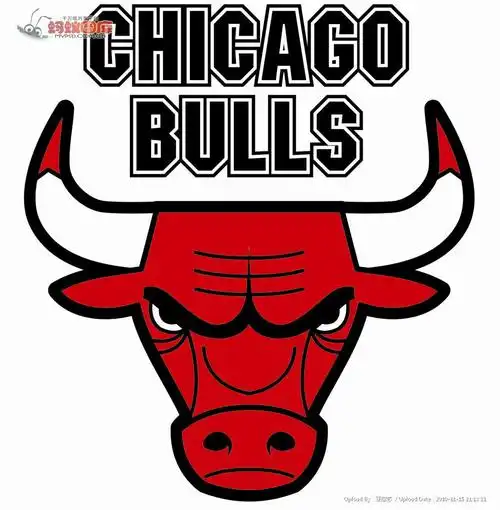 bull芝加哥公牛队标志eps图片素材-企业logo