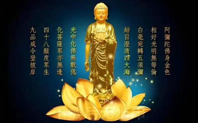 开松法师-南无阿弥陀佛-祥林黄昏音4.17小时加长版