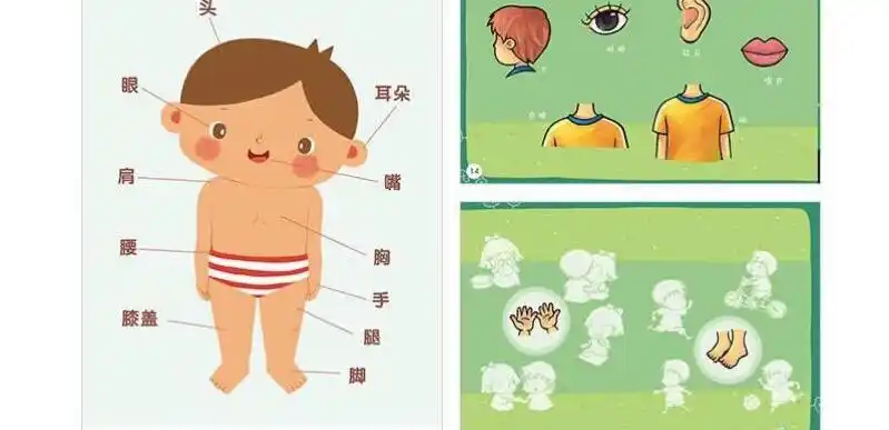 能够自己指出身体的各个部位.